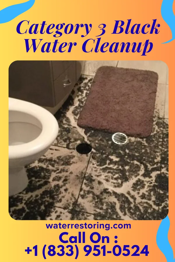 Category 3 Black Water Cleanup in Lebanon, KS